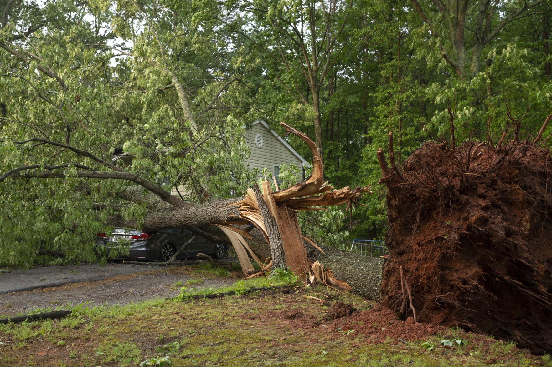 storm damage